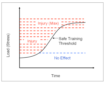 Figure 1 Stress Injury Total Therapy Burnaby Physiotherapy Vancouver