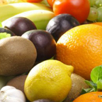 Nutrition Total Therapy Physiotherapy Burnaby Vancouver