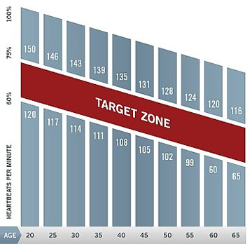 Target Heart Rate Total Therapy Physiotherapy Vancouver Burnaby