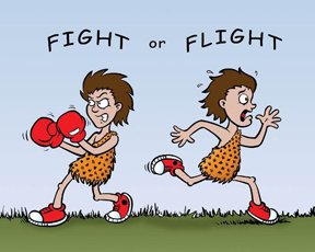 Fight or Flight Response Total Therapy Physiotherapy Burnaby Vancouver