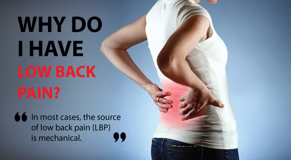 Low Back Pain Total Therapy Physiotherapy Burnaby Vancouver