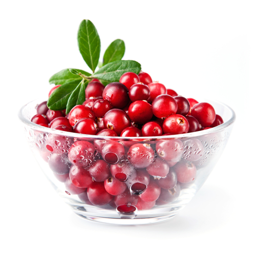 Cranberries Holiday Food Janine Seto Registered Dietitian Total Therapy Metrotown