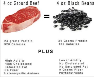 beans vs meat