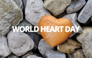 World Heart Day September 29 2023