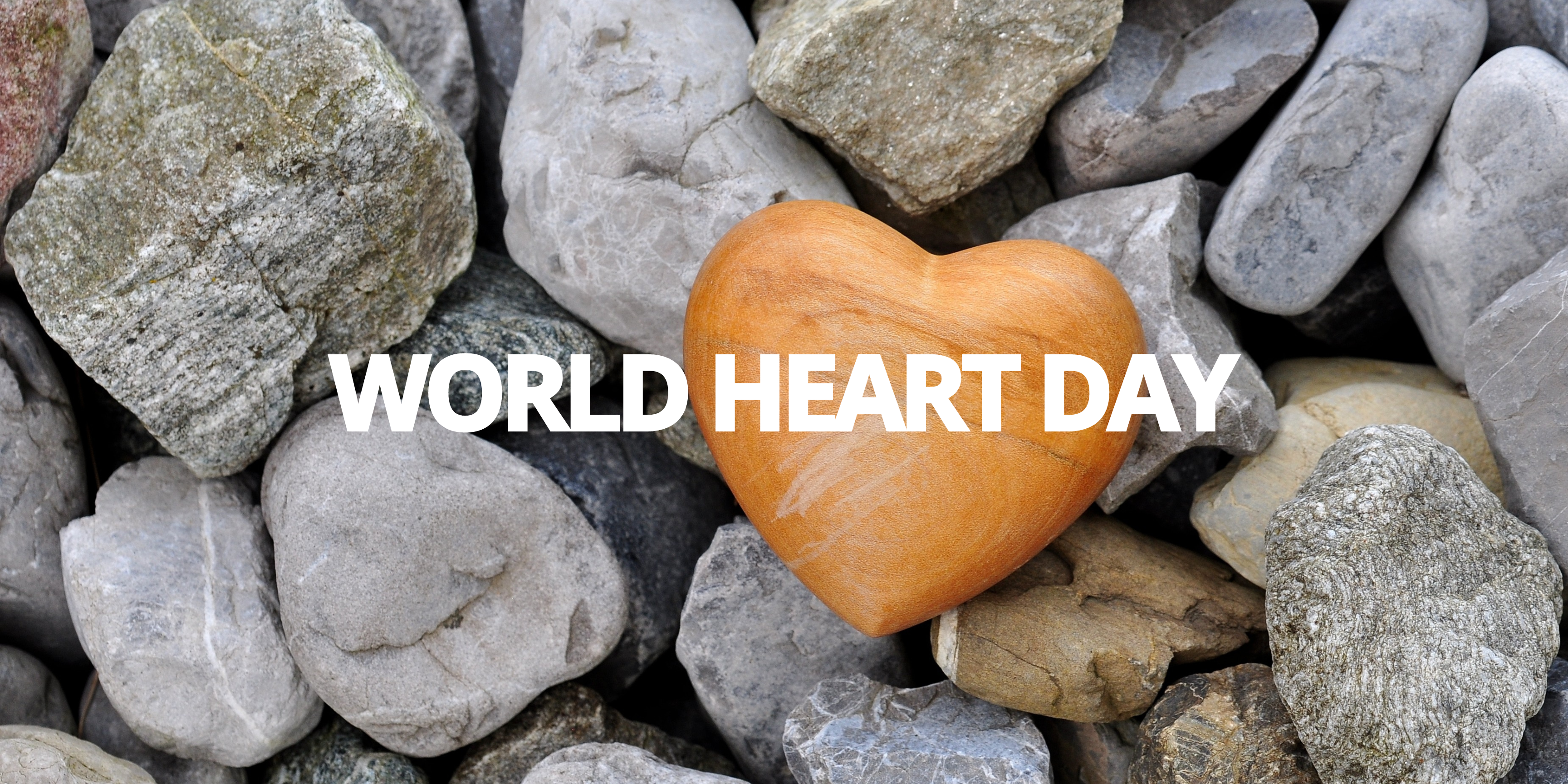 World Heart Day September 29 2023